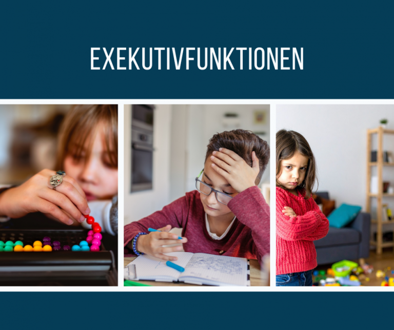 Exekutivfunktionen