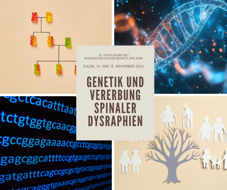 Genetik und Vererbung spinaler Dysraphien